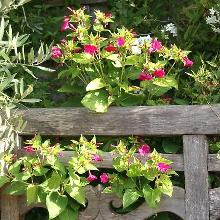 Giverny Cottage Сен-Кулом Екстериор снимка